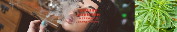 дживик Белоозёрский