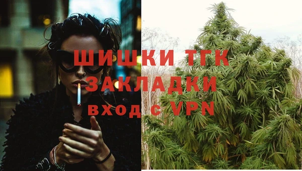 дживик Белоозёрский