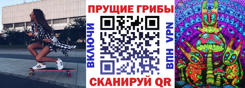 нарко площадка какой сайт  Рудня  Галлюциногенные грибы Psilocybe 