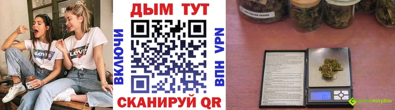 где можно купить наркотик  Рудня  Каннабис White Widow 